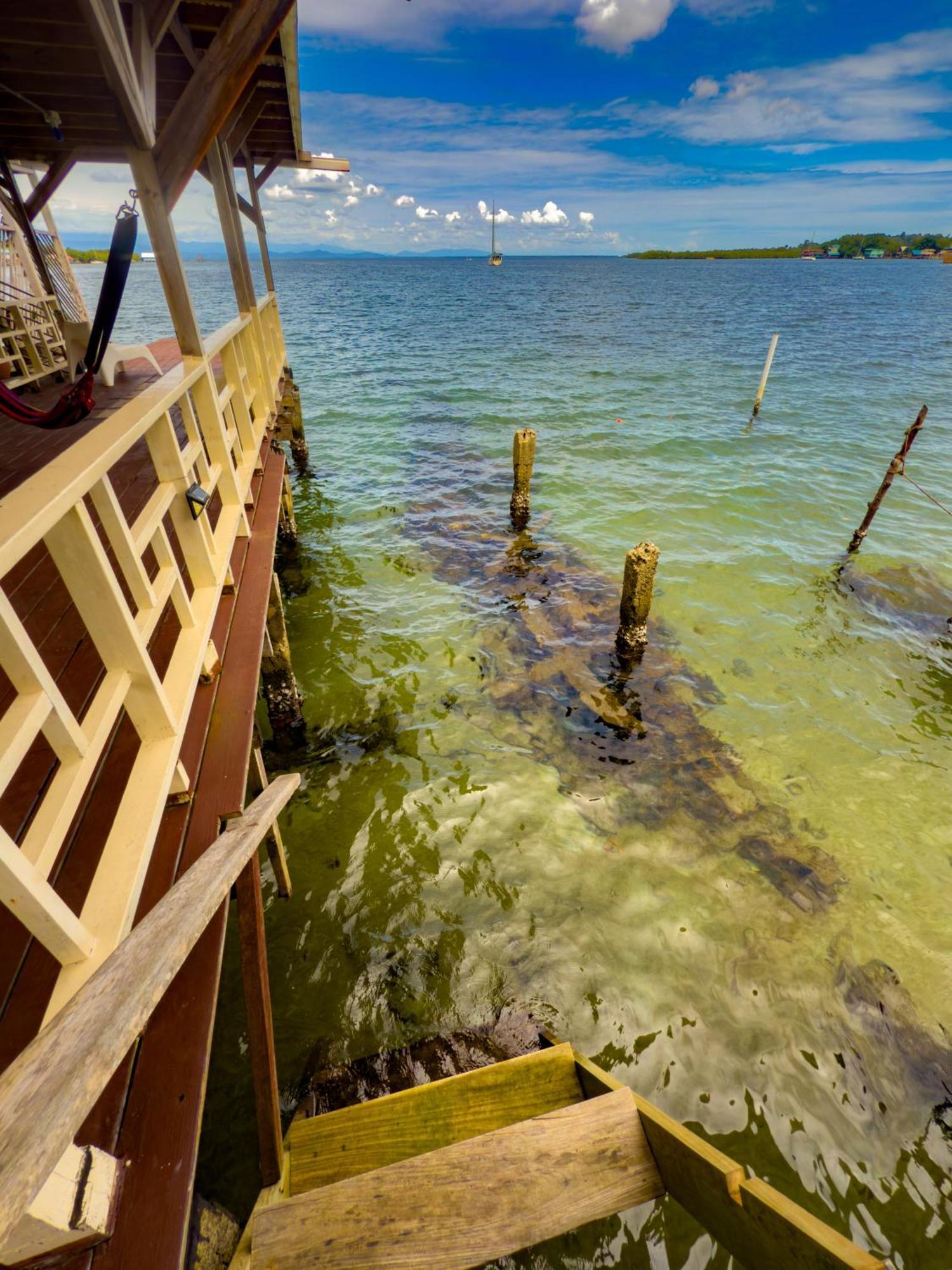 Saigon Bay Bed & Breakfast Bocas Town Oda fotoğraf